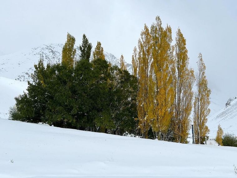 Hay alerta por nevadas persistentes en dos provincias, según el SMN
