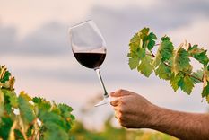 Abril y una agenda llena de eventos vinícolas por el día mundial del Malbec, conocé todas las fechas en la nota Foto: Freepik