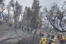 Parque Nacional Los Alerces Hace una semana comenzaron los incendios en el Parque Nacional Los Alerces Foto: Instagram /Parque Nacional Los Alerces