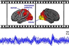 las peliculas sincronizan los cerebros de los espectadores