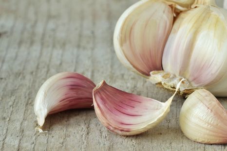 Diente de ajo Diente de ajo