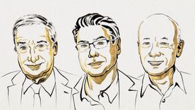 Joel Mokyr, Philippe Aghion y Peter Howitt ganan el Premio Nobel de Economía Joel Mokyr, Philippe Aghion y Peter Howitt ganan el Premio Nobel de Economía