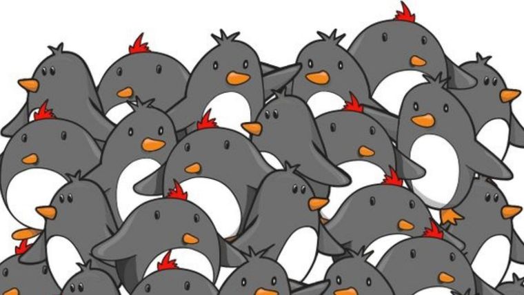Acertijo visual, reto visual, pingüino