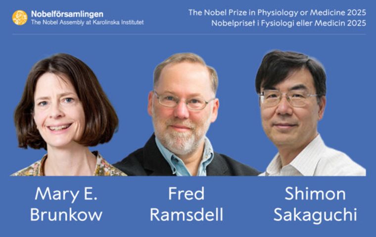 Premio Nobel de Medicina 2025: qué es la tolerancia inmunológica periférica