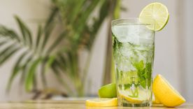 Prepará la limonada más rica.