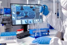 El 26% de los estudios son oncológicos Foto: FreePic.