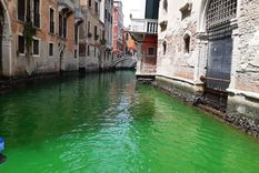 misterio y preocupacion en venecia luego de la aparicion de una mancha verde en el canal