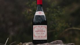 La botella de Walter Bressia Grand Rouge, el vino presentado por el reconocido enólogo. La botella de Walter Bressia Grand Rouge, el vino presentado por el reconocido enólogo.