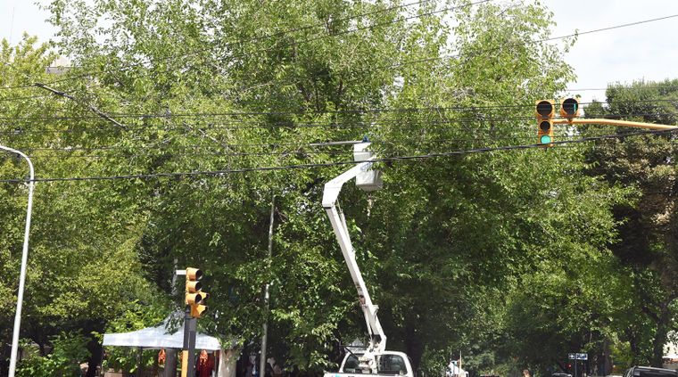 Cambio de luminarias led en el alumbrado público. Cambio de luminarias led en el alumbrado público.