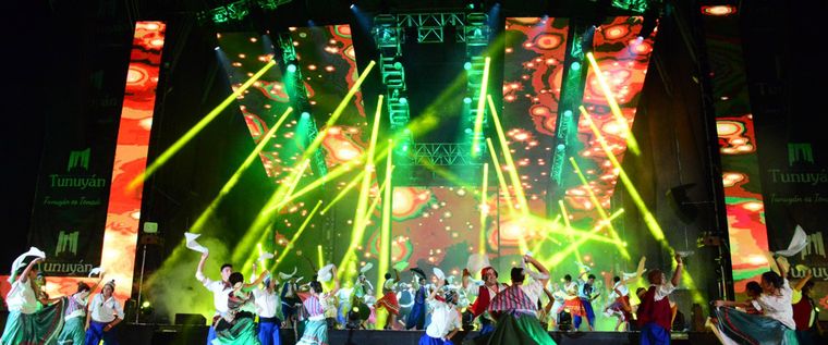 El Pro eligió a una ex reina del Festival Nacional de la Tonada como candidata.&nbsp;