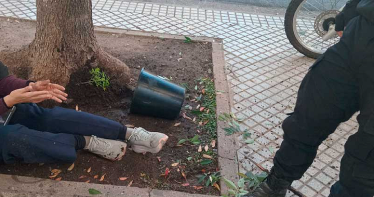 Una mujer fue golpeada por una maceta en Rosario.