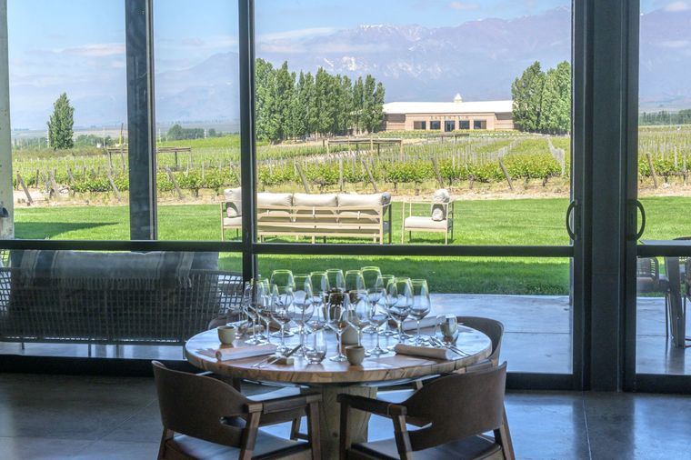 Una imagen impactante del nuevo restaurante de Salentein. Una imagen impactante del nuevo restaurante de Salentein.