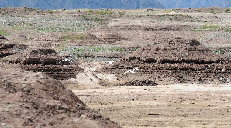 Foto: ALF PONCE MERCADO / MDZ