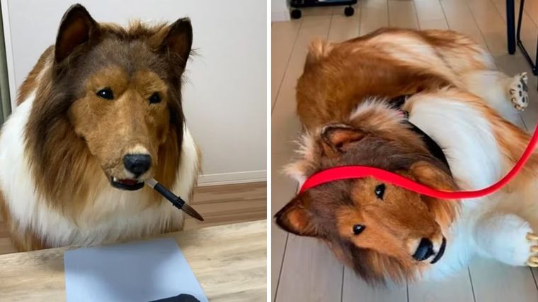 Un hombre gastó miles de dólares para convertirse en un perro. Foto: Instagram/toco.ev