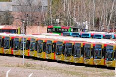 El control de Paso y Acceso Sur, donde están parados decenas de micros. Foto: ALF PONCE MERCADO / MDZ