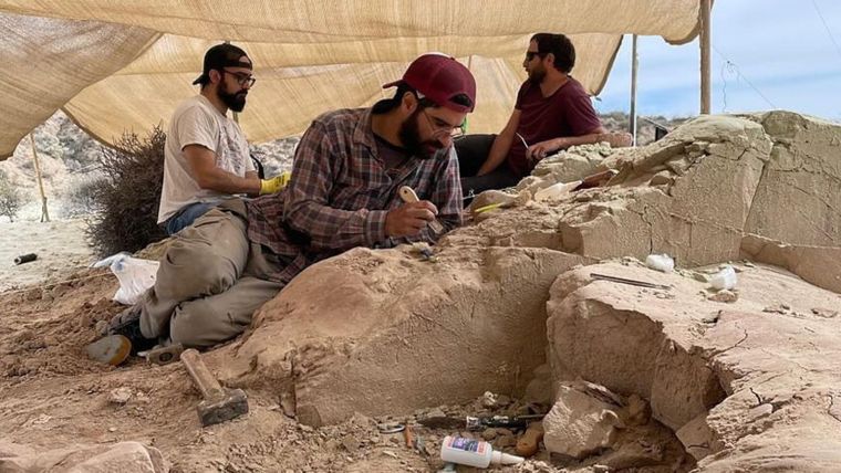 En la imagen, Mauricio Cerroni aparece con remera blanca y gorra negra. En la imagen, Mauricio Cerroni aparece con remera blanca y gorra negra.
