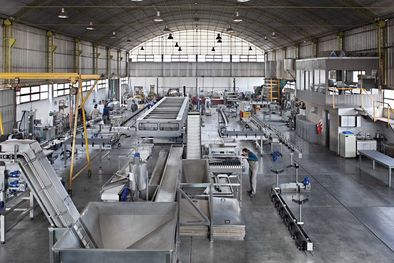 MDZol | Foto: Adimra