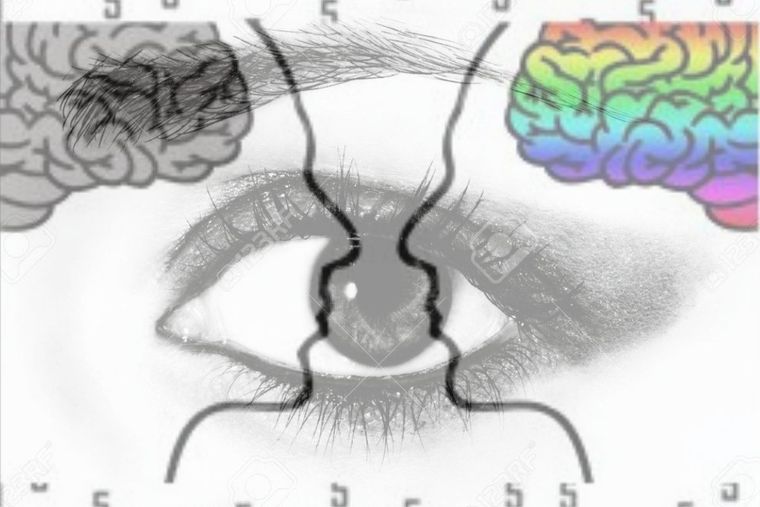 Test Visual Test Visual de sinestesia Foto: tuul.tv