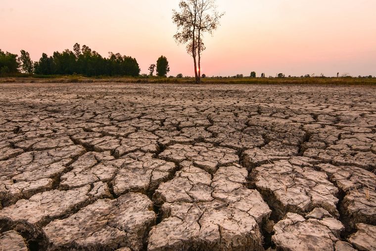 Hay un 65% de probabilidades de que La Niña, que tiene efectos opuestos a El Niño, se forme en el período de julio, agosto y septiembre. Foto: Shutterstock