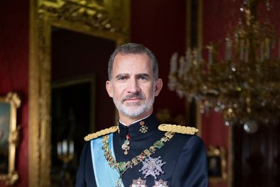 MDZol | Felipe VI