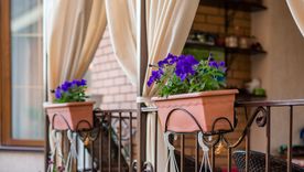 La tendencia que transforma y da privacidad. La tendencia que transforma y da privacidad.