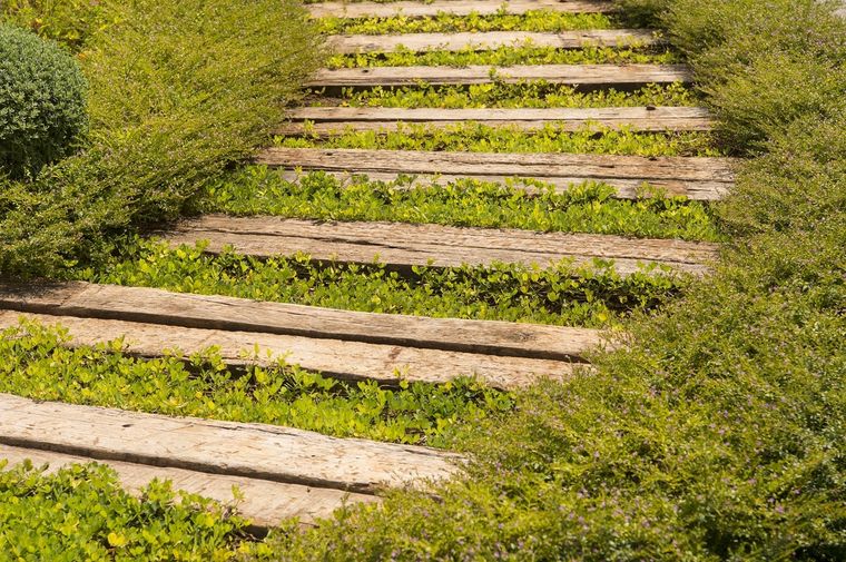 DURMIENTES PARA EL JARDÍN Foto: SHUTTERSTOCK