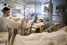 analizan la posible circulacion de la cepa manaos en mendoza