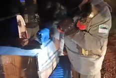 El cabo primero de Gendarmería Nacional fue detenido con 300 kilos de cocaína Foto: captura video