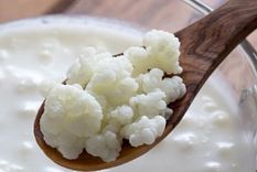 guia facil: diferencias entre el kefir de agua y de leche