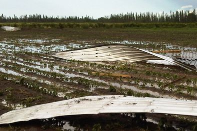 MDZol | Foto: Gentileza Diego Musa