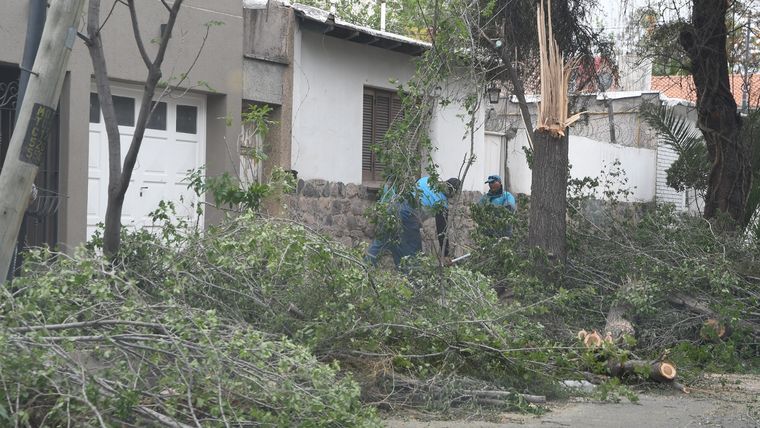 Ilustrativa Foto: Rodrigo DAngelo / MDZ