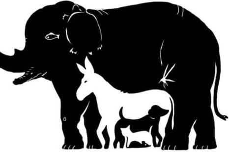 El reto visual que propuso una profesional de la salud en sus redes sociales.&nbsp;