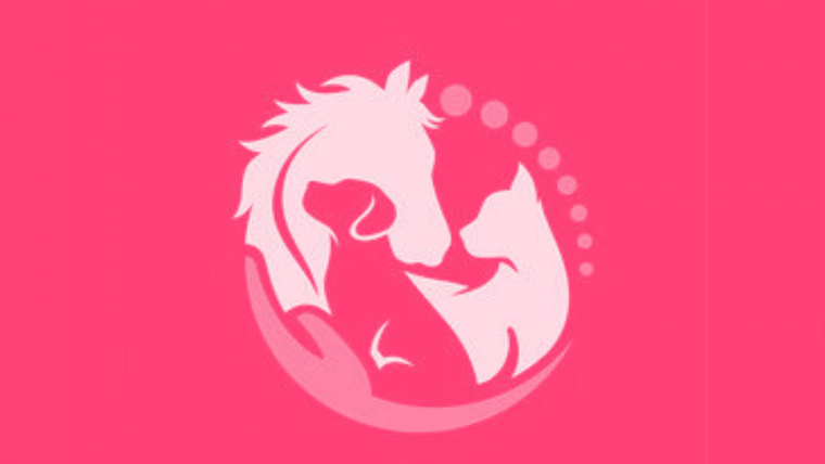 Test de personalidad