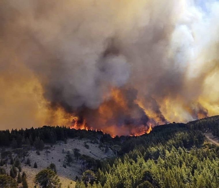 Esta semana se reactivaron tres focos de incendio en el Parque Nacional Los Alerces.&nbsp;