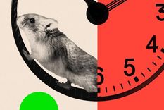 buscamos personas adictas a su trabajo: por que algunas tecnologicas estan imponiendo la jornada de 72 horas semanales