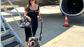 Wanda Nara viajó desde Estambul hasta Italia junto a su familia y amigos Foto: Instagram Wanda Nara