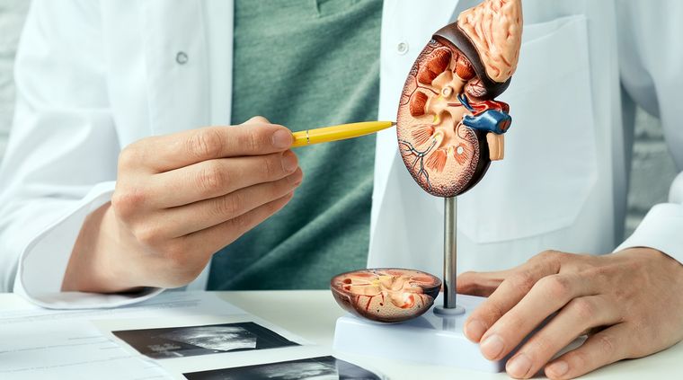 Foto: shutterstock.com