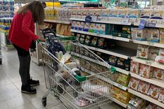 Tras la fuerte suba de los precios la primera semana del mes, los alimentos desaceleraron el ritmo sumando esta semana apenas 0,7% de incremento. Foto: MDZ