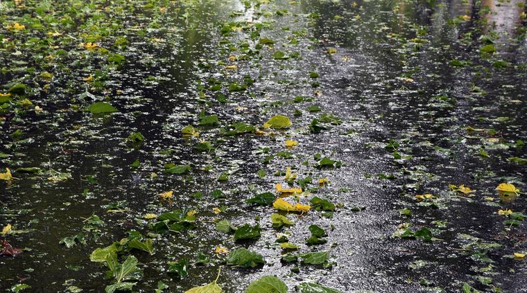 Las tormentas podrían estar acompañadas de ocasional caída de granizo Foto: ALF PONCE MERCADO / MDZ