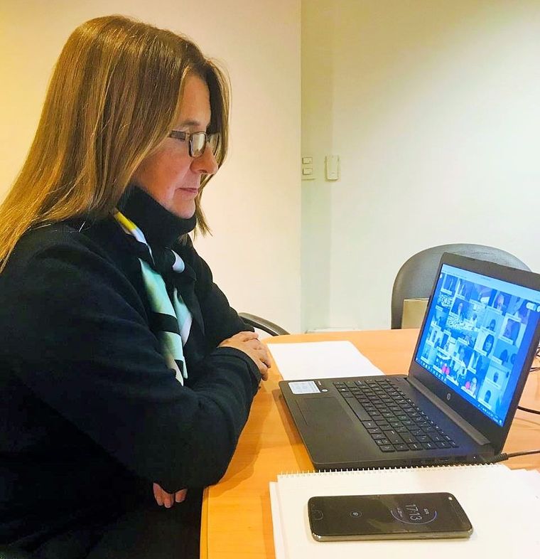 La diputada Najul participó de la sesión en forma remota.