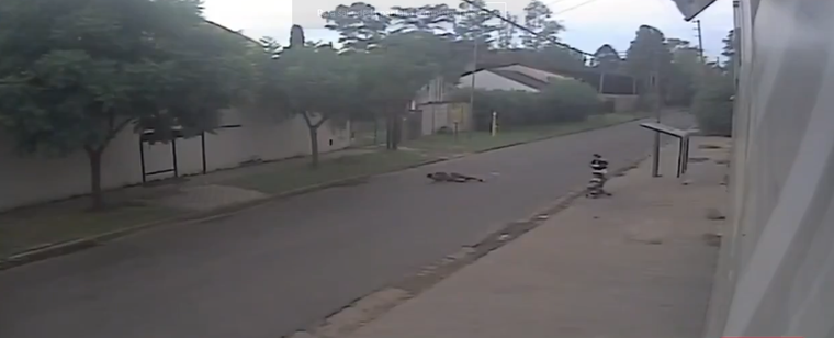 Lucas intentó defender a su familia en medio del siniestro Foto: X