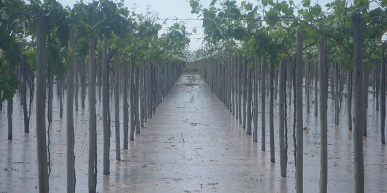 El concurso pretende enseñar a usar el agua. Foto: Ulises Naranjo / MDZ.