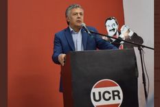 Alfredo Cornejo, diputado nacional