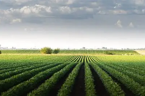 La Ley de Tierras vuelve a poner sobre la mesa uno de los temores más arraigados del imaginario argentino. La Ley de Tierras vuelve a poner sobre la mesa uno de los temores más arraigados del imaginario argentino.