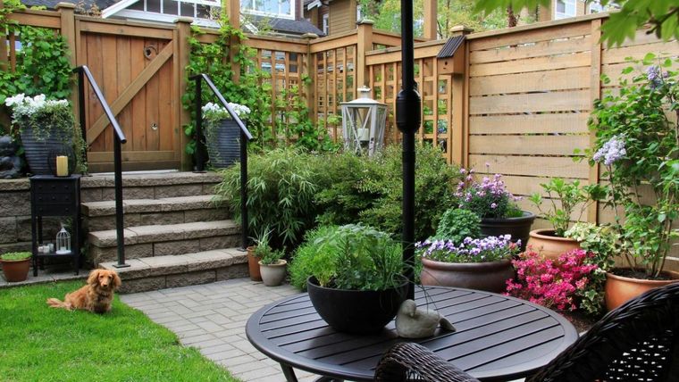 Con estos consejos, cualquier persona puede disfrutar de un jardín interior perfecto Foto: Shutterstock