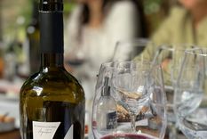 dos bodegas se juntan y lanzan un vino unico: quienes son y que hacen