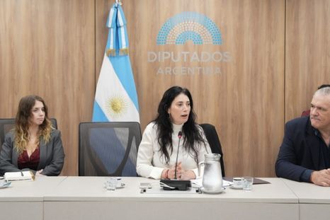 La Comisión de Derechos Humanos de Diputados viajará a Formosa. Foto: Honorable Cámara de Diputados La Comisión de Derechos Humanos de Diputados viajará a Formosa. Foto: Honorable Cámara de Diputados