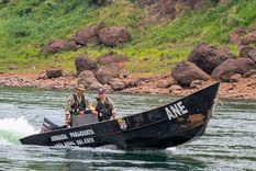 Agentes durante el operativo en la Triple Frontera que significó un golpe al tráfico ilegal de madera. Foto: Interpol