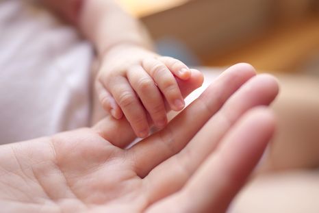 La natalidad cayó un 34,3% en los últimos cinco años en Mendoza. La natalidad cayó un 34,3% en los últimos cinco años en Mendoza.