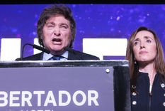 La comunidad científica denunció que Milei dejaría sin trabajo a 56.000 personas ne caso de seguir adelante con su plan de privatizar el Conicet Foto: EFE